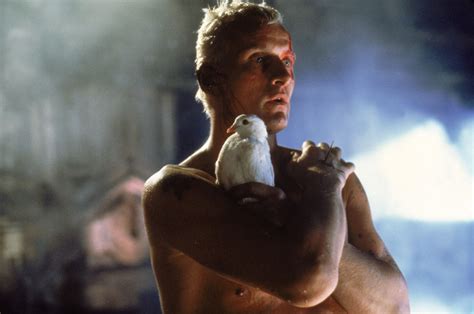 Blade Runner, Voiko androidi unelmoida sähkölampaista ja tutkisiko Rutger Hauer uusia filosofisia horisontteja?